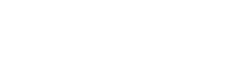 AfriLink Express
